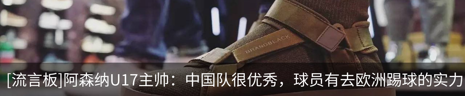 新闻动态